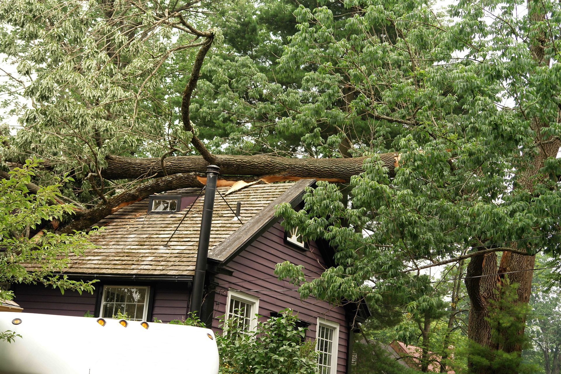 Hurricane and storm damage repair in West Palm Beach